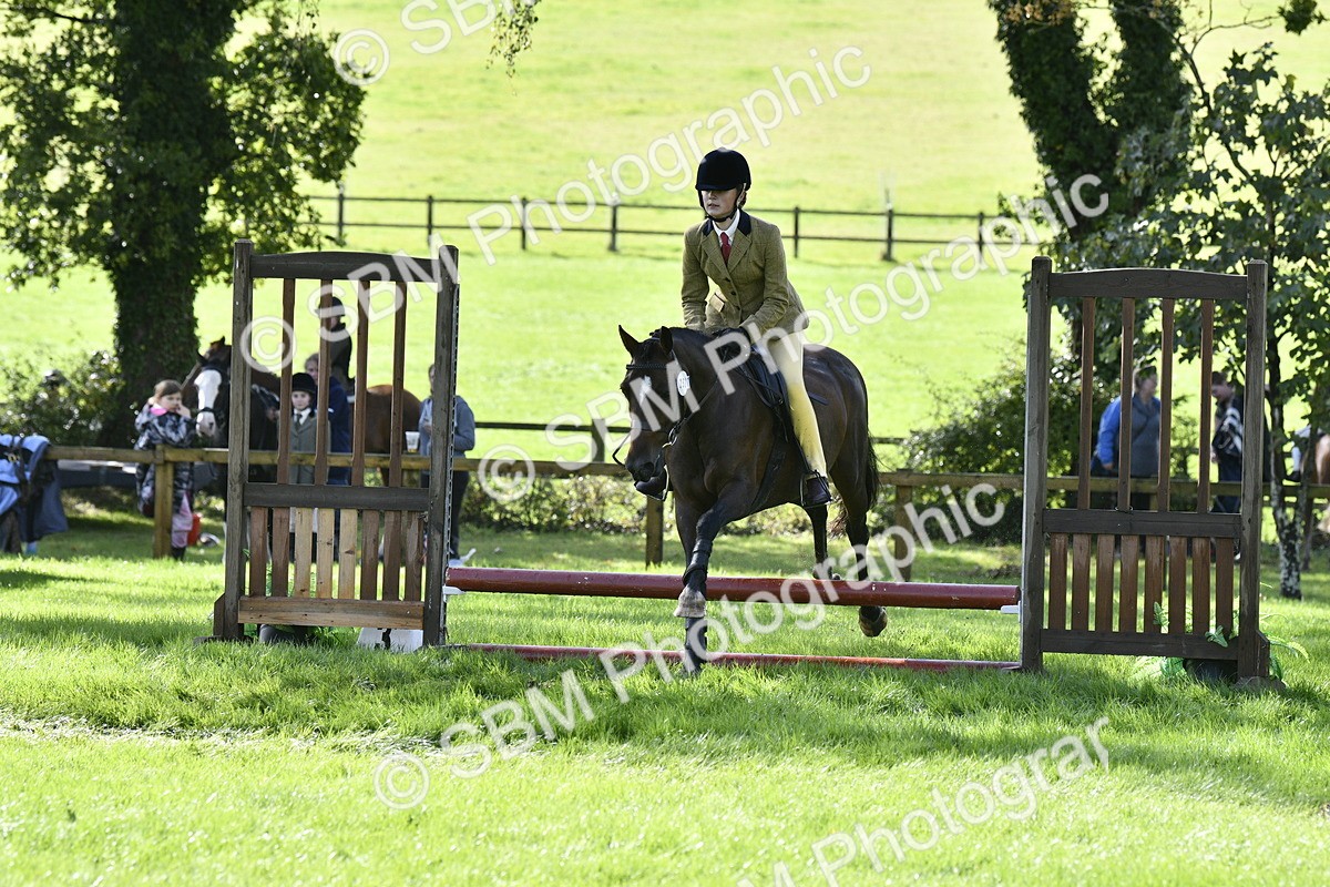 SBM_38255 - S31 - Novice & Newcomer Working Hunter Pony