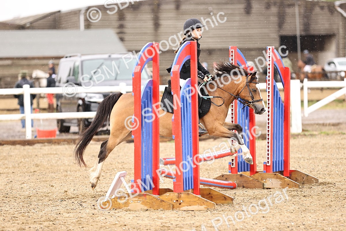 SBM_000136 - Class 2 - 50cm