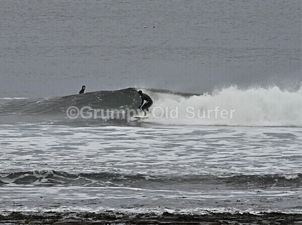 DSC_9070 - Thurso 6th November 2022