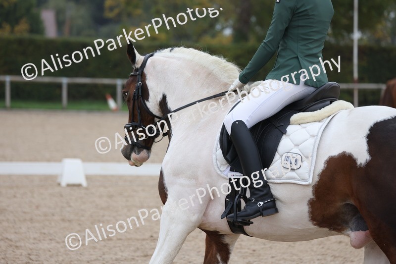 20251012-0596 - Class 5 - Elementary 5