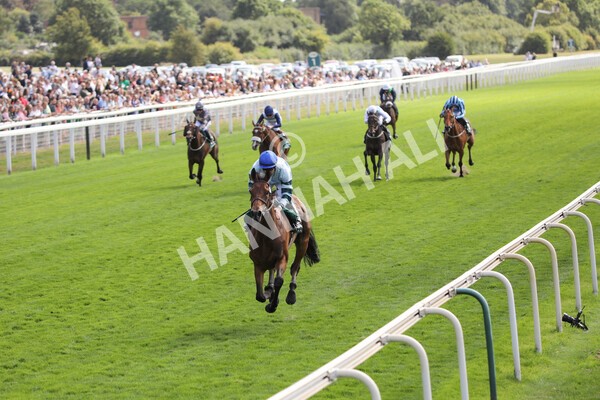 yr19082022r2-36 - Race 2 2.25pm Weatherbys Hamilton Lonsdale Cup (British Champions Series Race)