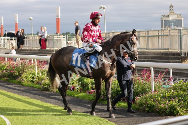 yr23072021r2-13 - Race 2 6.30pm IRE-Incentive It Pays To Buy Irish Stakes