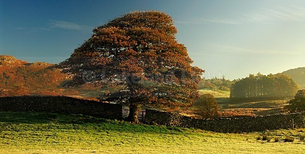 lll0004 - South Lakes