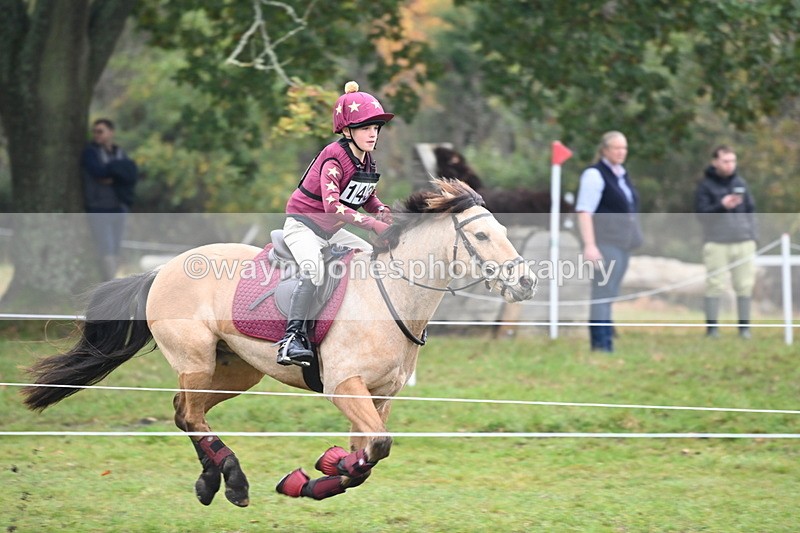 WJ6_2424 - 80cm Cam 1 Time 11:23 to 12:04