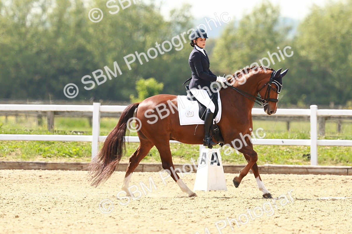 SBM_002959 - Class 13 - Medium 5