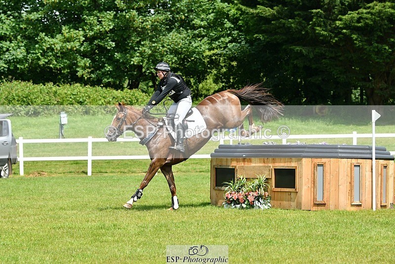 230528-131739-17175 - 409-HENTON_FIRST_LADY-Bundy_Philpott-XC