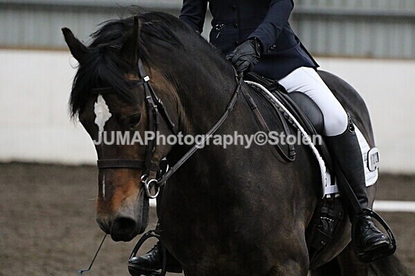 SIAL3879 - CAbin Dressage 5th july 2025
