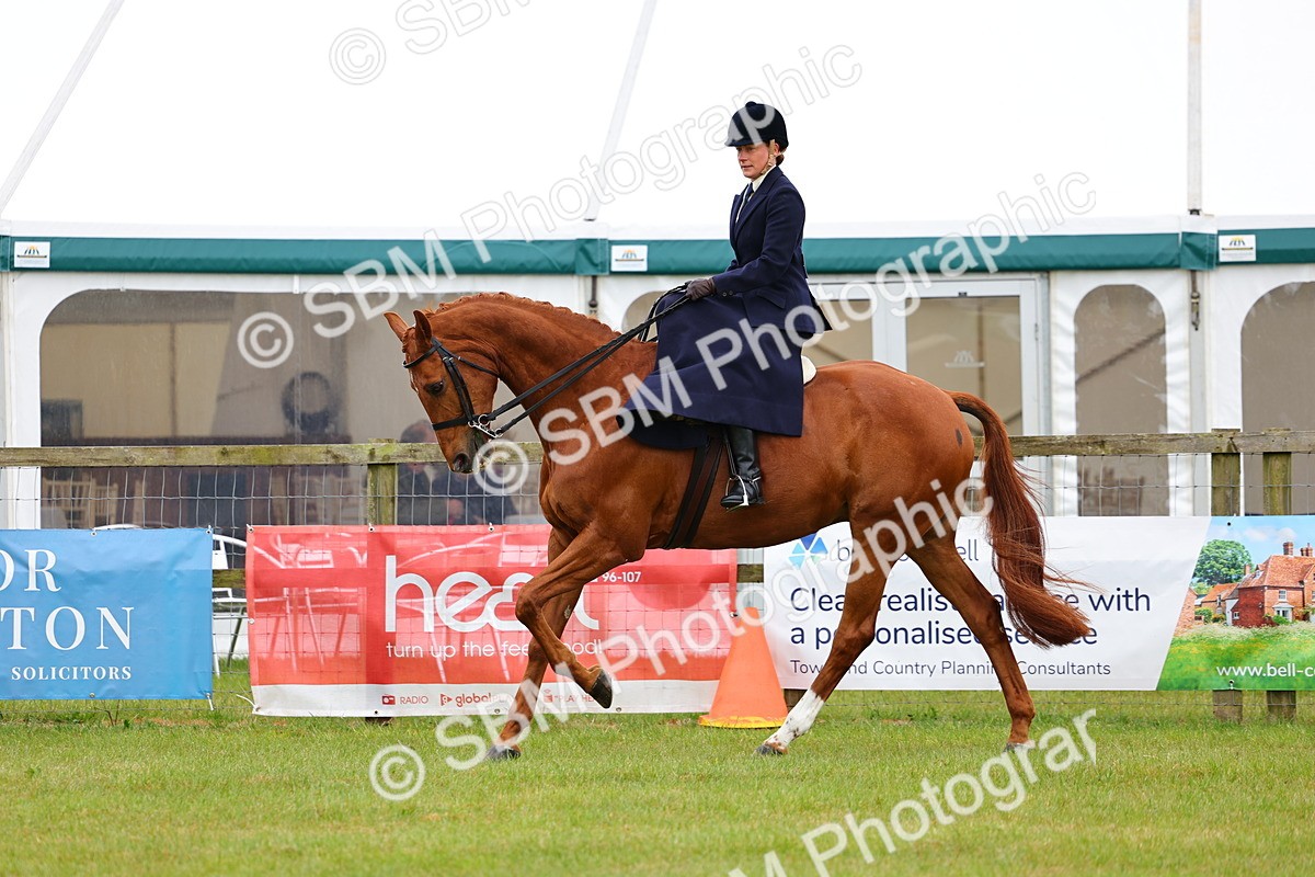 SBM_02741 - Class 9-11 Side Saddle including LIHS Rising Star Ladies Show Horse