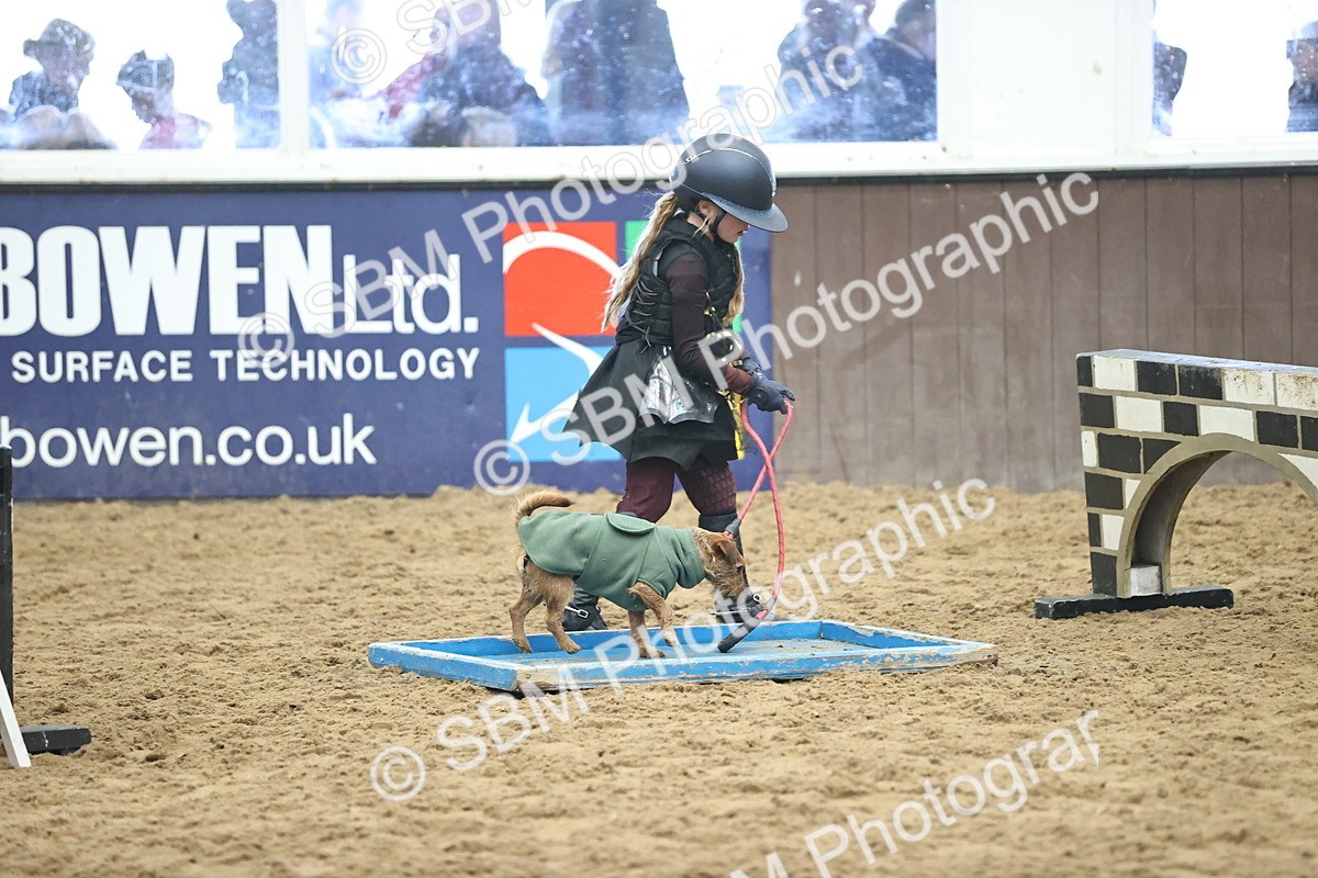 SBM_001541 - Class 3 - Horse & Hound 60cm
