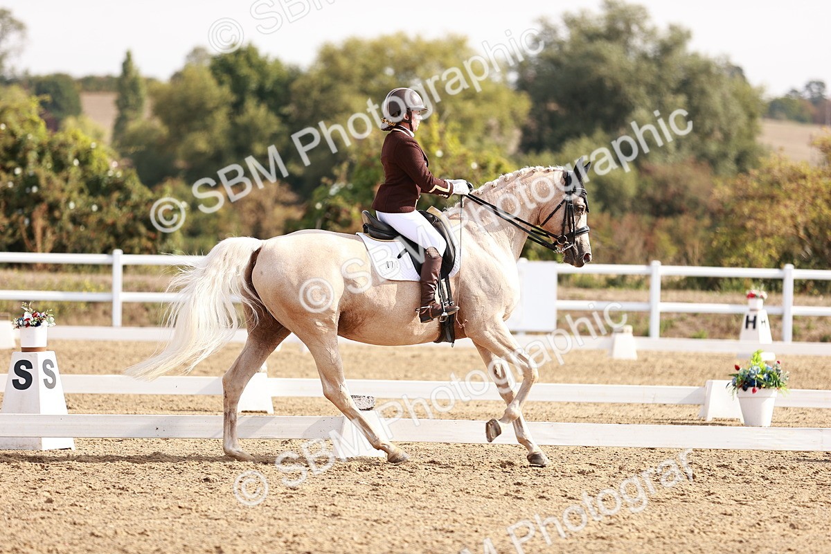 SBM_017020 - Class 10 - Medium 6