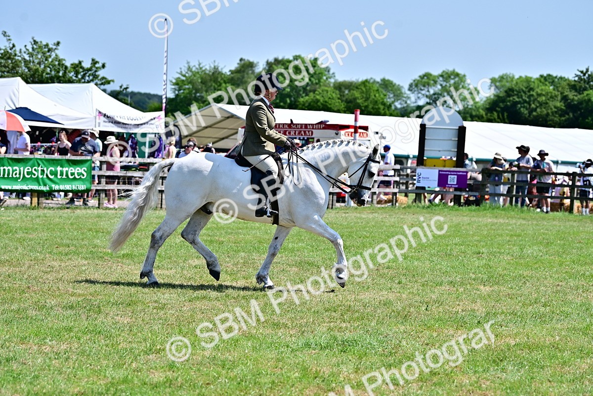 SBM_17412 - Class 95-97 - BSPS LHS Performance Ponies