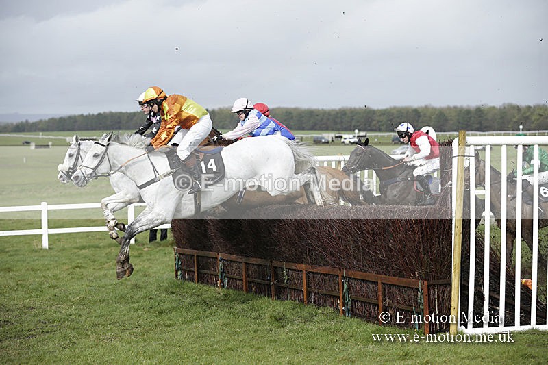 PtP 150320 0387 - New Forest Point-to-Point Larkhill 15/03/20