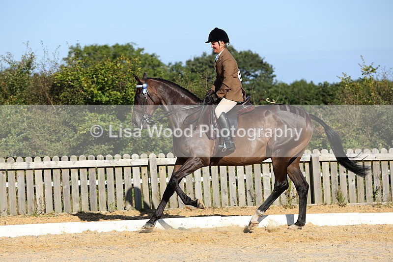 1X9A7602 - Class 7: Novice Ridden Hunter/Hack/Cob/Riding Horse