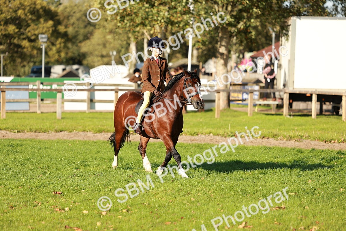 SBM_28721 - S7 - Novice & Newcomer Ridden Pony