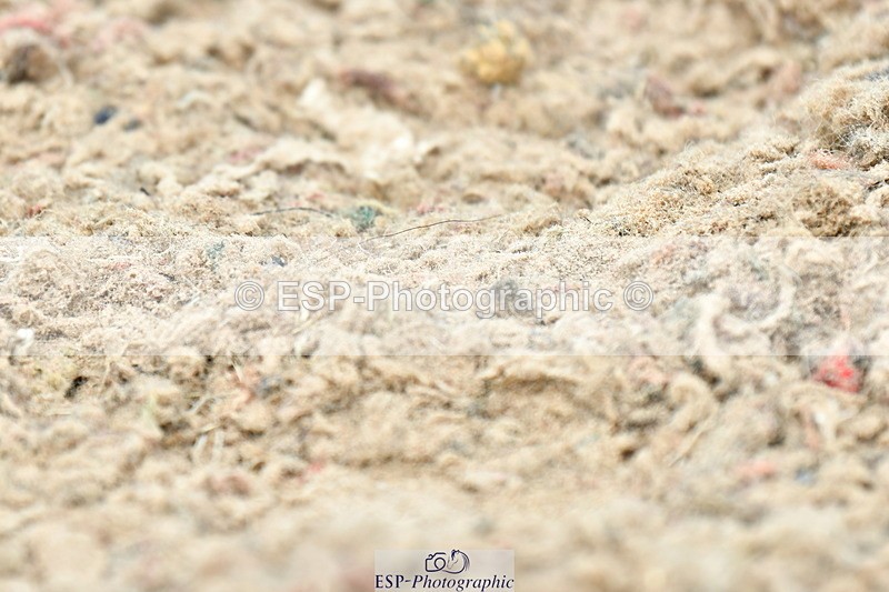 230701A-140428-06636 - Cls 10 Medium 69