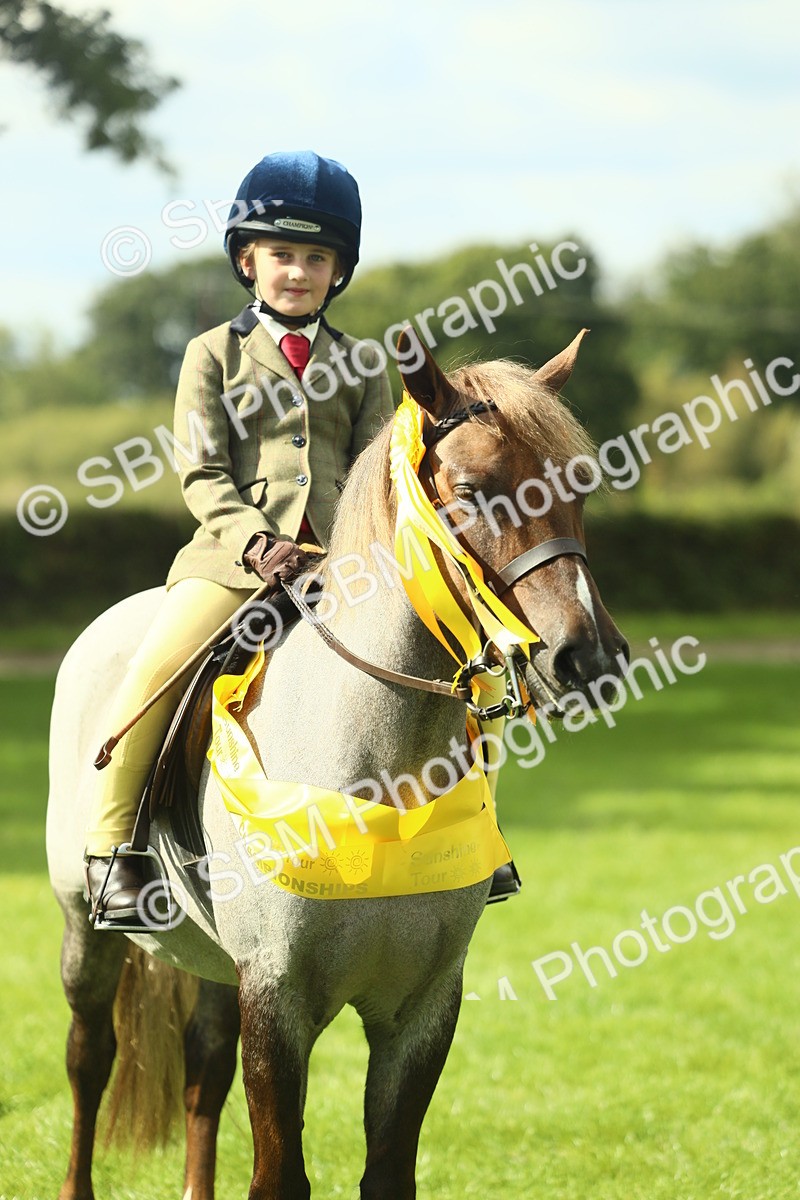 SBM_44969 - Working Hunter Pony Supreme Championship