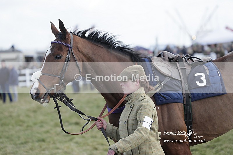 PtP 260223 364 - South & West Wilts Point-to-Point Larkhill 26/02/23