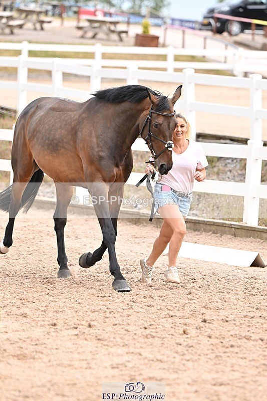 250716-143939-01275 - Trot Up 2.30 to 3.30