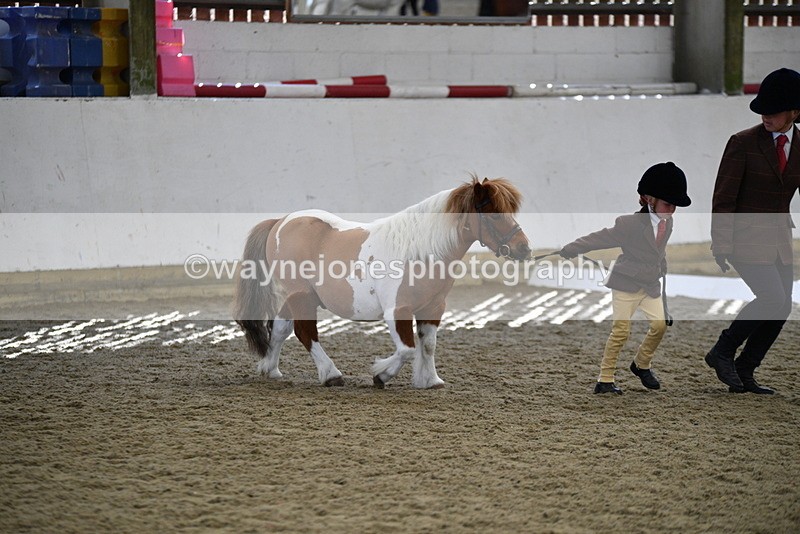 WJ5_4898 - Class 7 In hand coloured / odd coloured