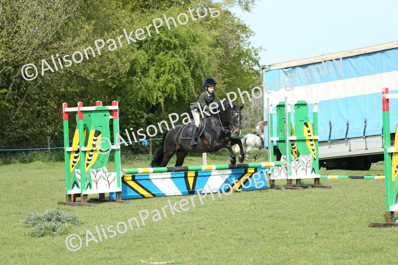 20260426-1478 - Class 14 - Novice 60cm