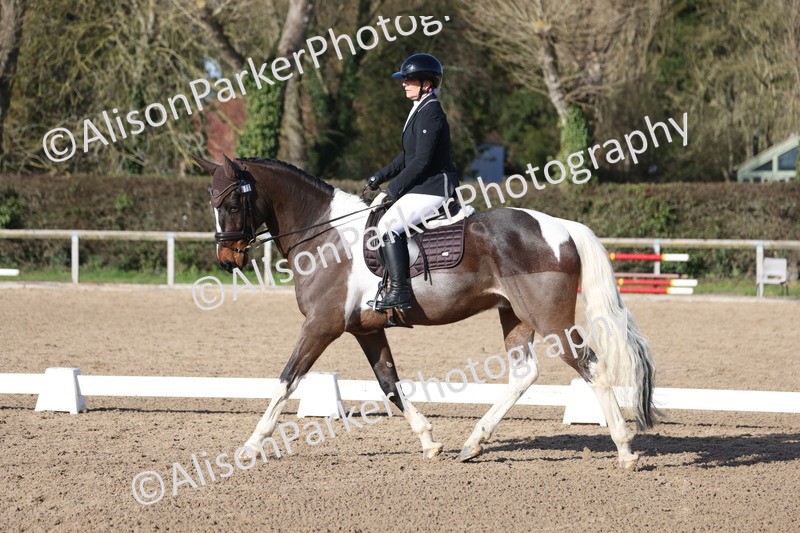 20260214-0511 - Class 5 - Novice 3