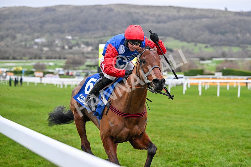 240126-Race 7-Ma Shantou-7743 - Race 7