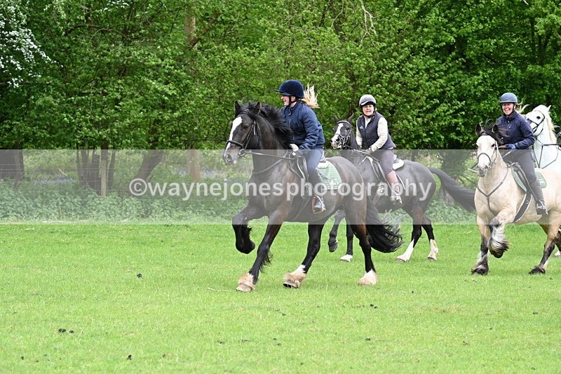 WJ7_2529 - Group 6 A&B Cameras