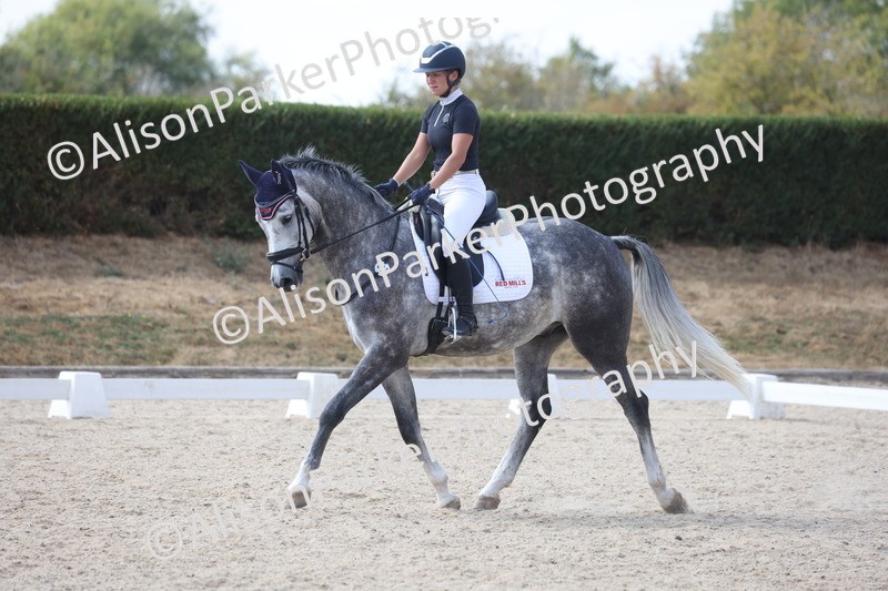 20260815-1008 - Class 5 - Novice 1