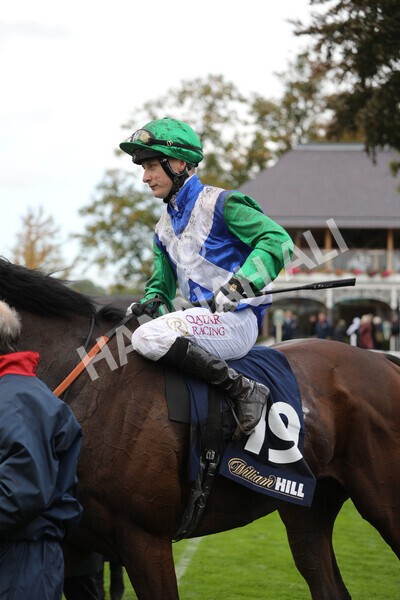 yr07102022r2-43 - Race 2 2.40pm William Hill Autumn Mile