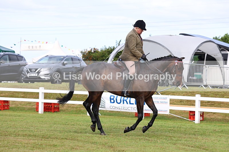 3E7A8018 - Class 2: Rising Star Large Hack/Riding Horse