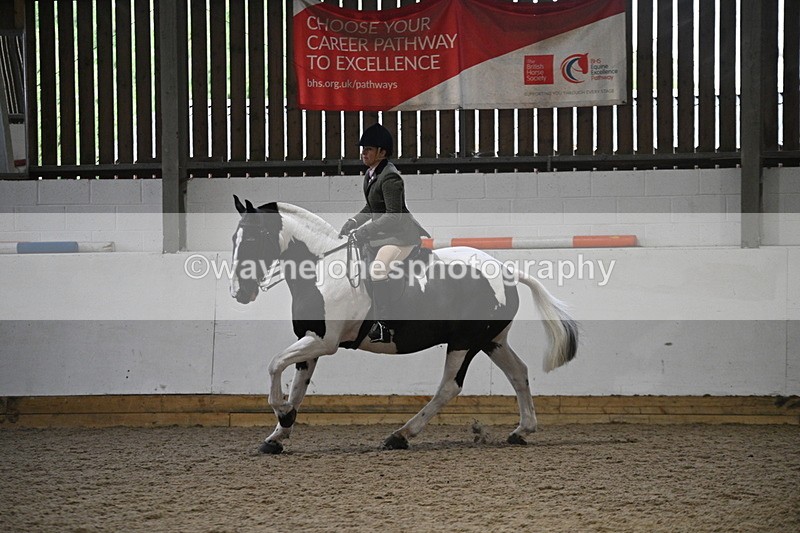 WJ7_4056 - Class 17 Ridden Cob