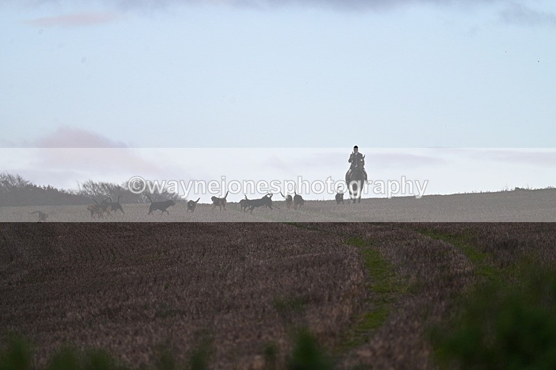 WJ7_9793 - Camera 1 & Last fence