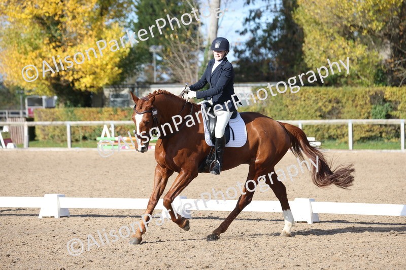 20251102-0714 - Class 4 - Novice 6