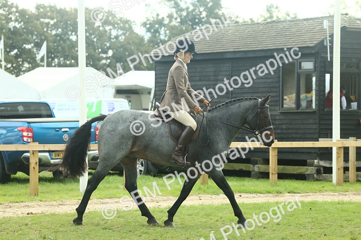 SBM_62586 - S63 - Other Coloured Horse Ridden