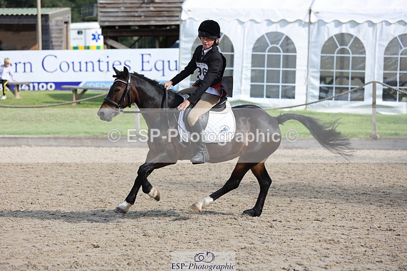 240823X-093945-14617 - 60cm R1 8.30 to 10.00