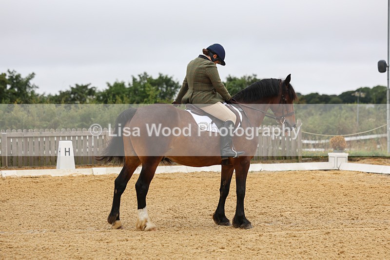 3E7A4598 - Class 1: Intro 4 2024 section A