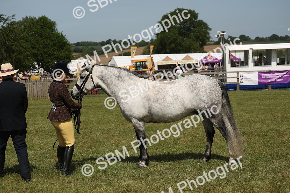 SBM_07632 - Class 26-30 - Mountain and Moorland Ridden
