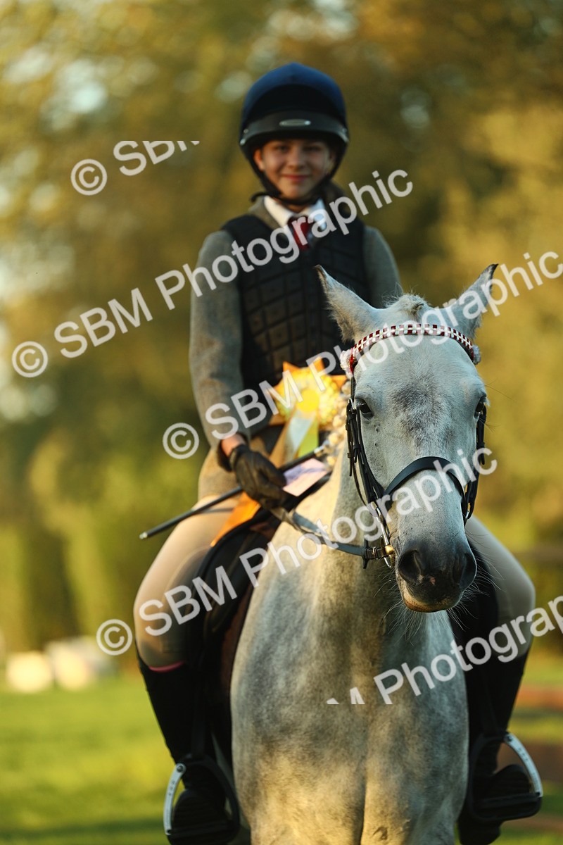 SBM_56538 - S14 - Riding Club Horse
