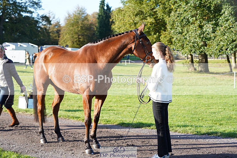 241026-101452-11712 - 011-Carla.Williamson-GOLDMAN