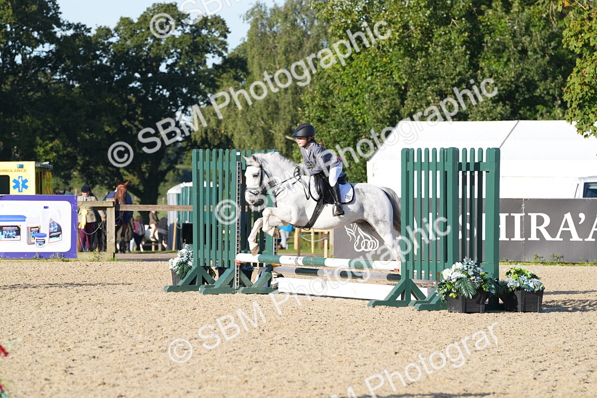 SBM_34348 - J62 - Clear Round 50cm