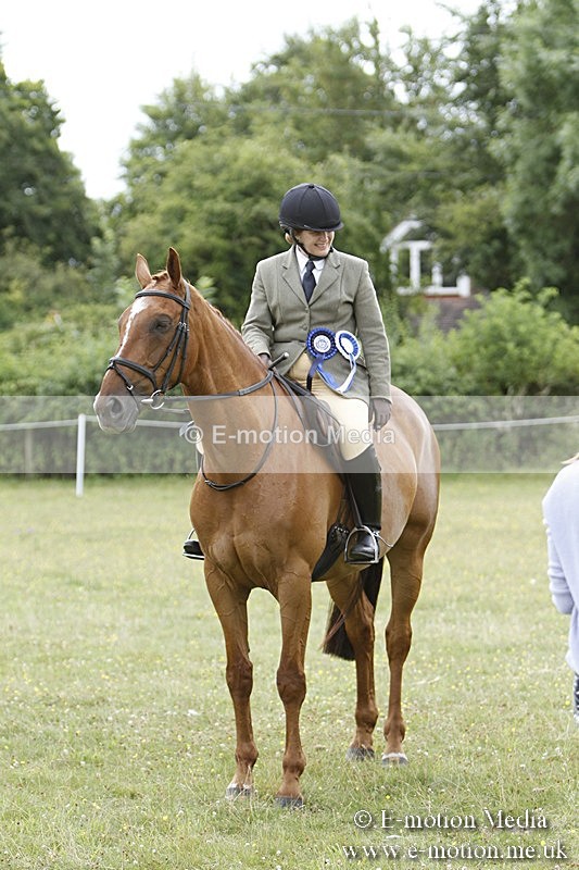 BVR160717-1864 - Ring 3 BVRC Show 16/07/17