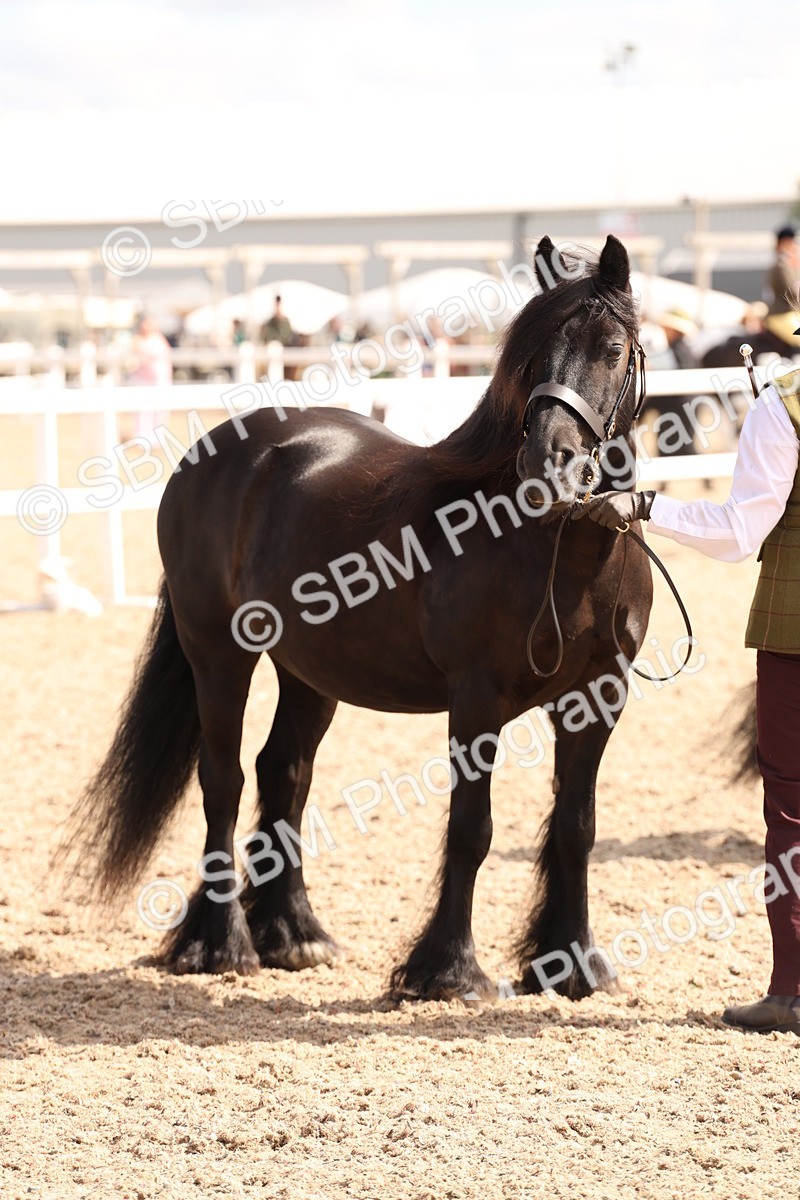 SBM_15109 - Class 209 - IH Veteran Pony