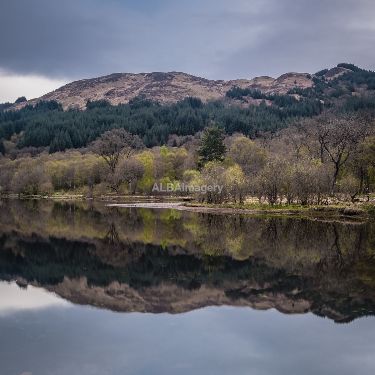 Loch Chon Reflections - My Scotland - The Landscapes