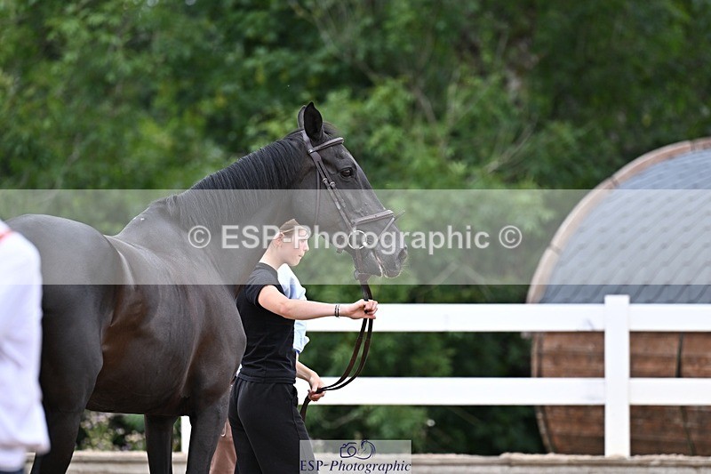 250716-134031-00619 - Trot Up 1.30 to 2.30