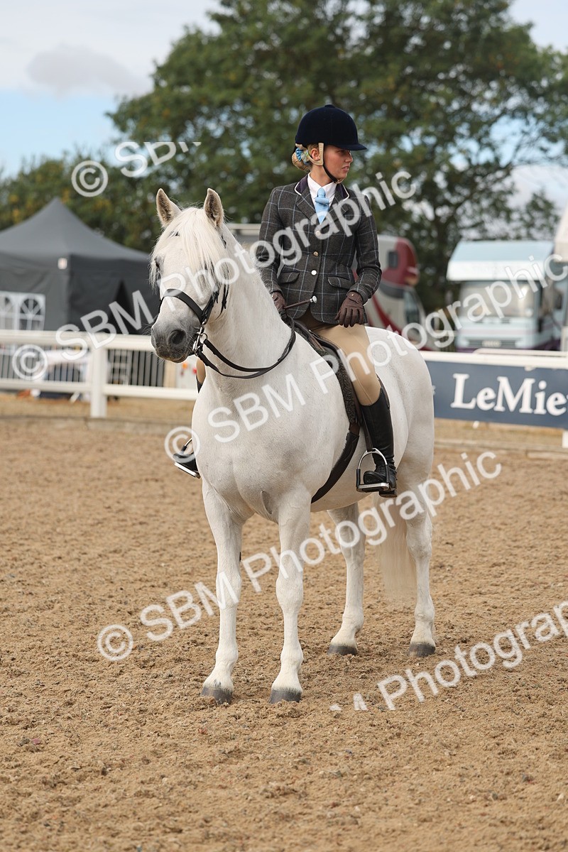 SBM_02004 - Class 14 - Ridden M&M Wildcard