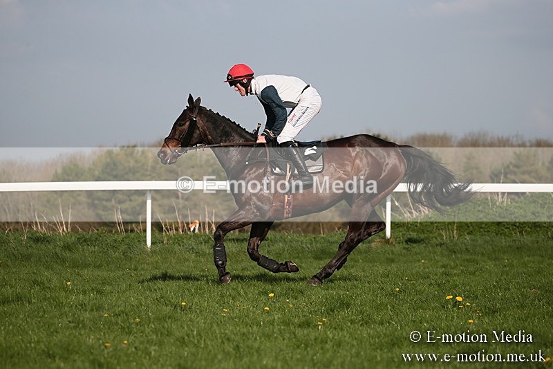 PtP 210418 567 - South & West Wilts Point-to-Point Larkhill 21/04/18