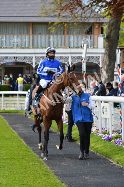 yr13052021r5-32 - Race 5 3.40pm British Stallion Studs EBF Westow Stakes