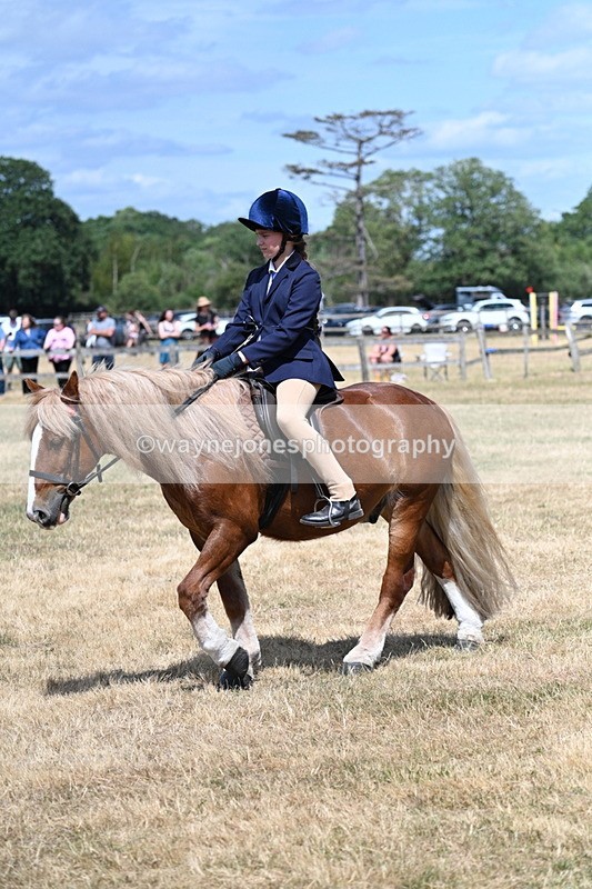 WJ7_3264 - Class 8 Ridden Veterans