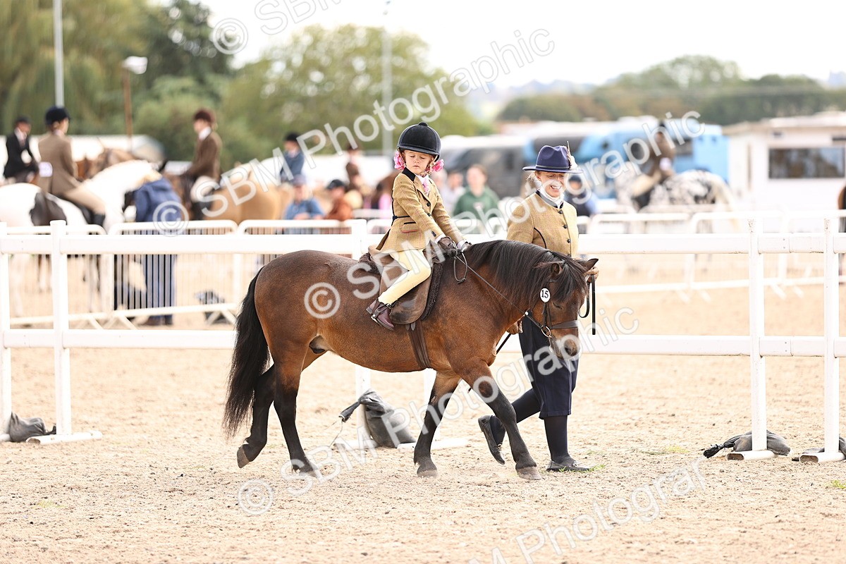 SBM_16128 - Class 420 - Horse-Pony Judge would most like to take home (IH or Ridden) Jnr