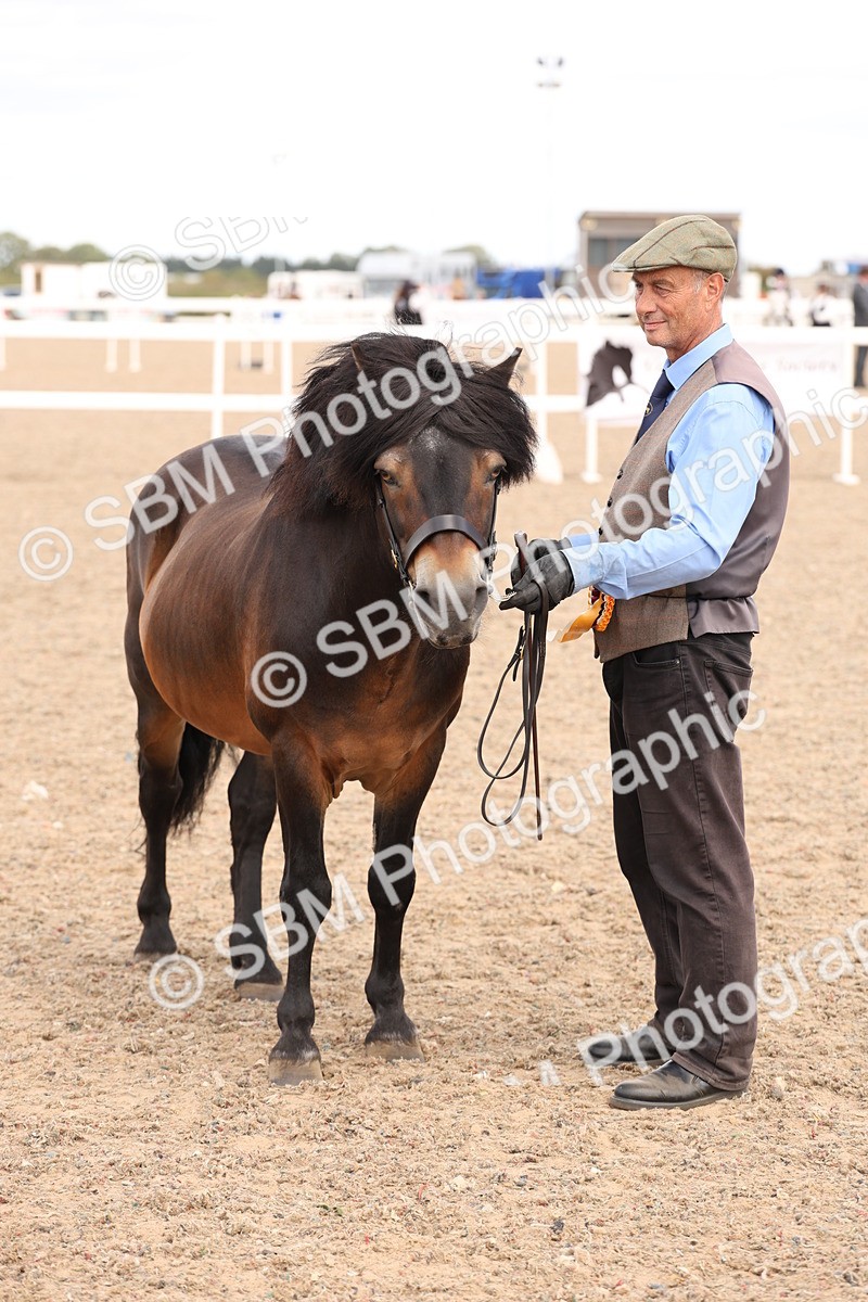SBM_15146 - Class 209 - IH Veteran Pony